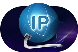 Concealing IP Addresses
